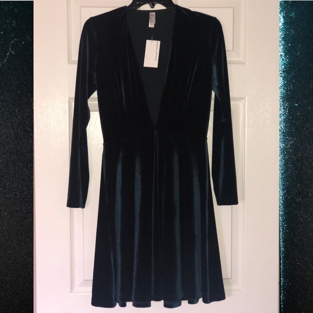 American Apparel Velvet Skater Dress